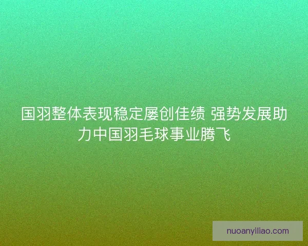 国羽整体表现稳定屡创佳绩 强势发展助力中国羽毛球事业腾飞